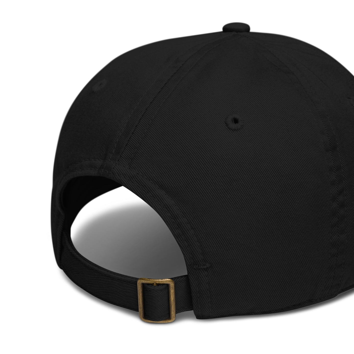 Cassette Tape Organic dad hat